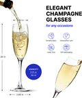 Prolisok Champagne Glasses - Set of 6 - 6.25 fl oz / 185 ml